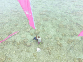 ޕީޕީއެމްގެ ދިދަތައް ދަގަނޑު ހޮޅިއާއެކު ފަރަށް ޖަހާފައި