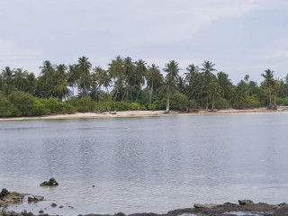 ގދ ރަތަފަންދޫ
