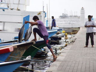 The World Bank has stated that the Maldives remains the fastest growing economy in South Asia