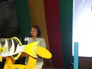 އައިމިނަތު ނާދިރާ