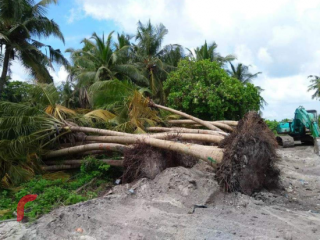 ޅައިމަގުން ގަވާއިދާ ހިލާފަށް ގިނަ ރުށްތަކެއް ކަނޑާ ބޭރުކުރާ ކަމަށް ބުނެ ސޯޝަލް މީޑިއާގައި ދައުރުވަމުންދާ ފޮޓޯއެއް