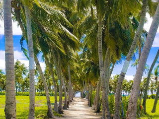 ތޮއްޑޫ ވާވު މަގު ރުކުން ޖަރީވެފައި!