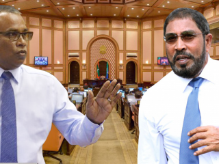 މަޖިލީހުގެ ރައީސް ކަމަށް ހުށަހެޅުއްވި ގާސިމާއި އަބްދުއްރަހީމް