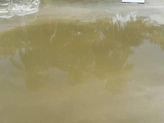 މުލީގެ މަގުތަކަށް ނަޖިސް ބޭރުވާ މައްސަލަ ބޮޑުވެއްޖެ