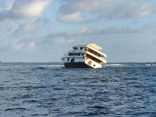 ފަރަށް އެރި ސަފާރީ - މި ހާދިސާގައި އެއްވެސް މީހަކަށް ގެއްލުމެއްނުވޭ