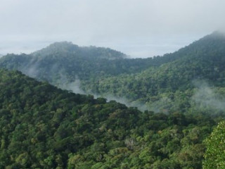 ކްލައިމެޓް ކޮންފަރެންސް ބޭއްވުމުގެ ހުށައެޅުން ބްރެޒިލްއިން އަނބުރާ ގެންގޮސްފި