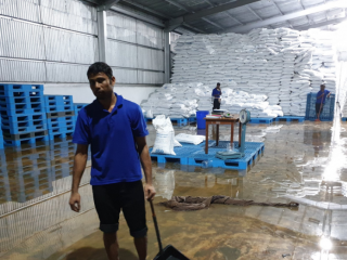 ކާޑުގެ ބާވަތްތައް ލިބުމުގައި ދަތިނުވާނެ: އަމްރު