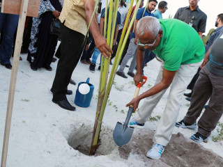 ގަސް ކެނޑުމާއި ރަށްތައް ހަނަފަސްކުރުން ހައްލު ކުރެވޭނީ ގާނޫނު ތަންފީޒު ކޮށްގެން: ރައީސް