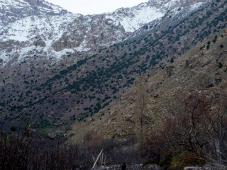 މަރާލާފައި އޮތް ދެ ފަތުރުވެރިނ ފެނުނު އެޓްލަސް ފަރުބަދަ މަތީ ސަރަހައްދު