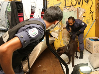 Police officers using the k-9 squad in a search operation