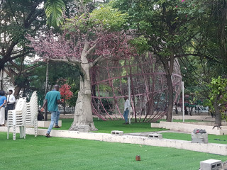 ސެންޓްރަލް ޕާކް ވަގުތީ ގޮތުން ހުޅުވައިފި