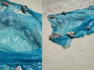 The body had been dressed in women’s clothing but damaged beyond recognition