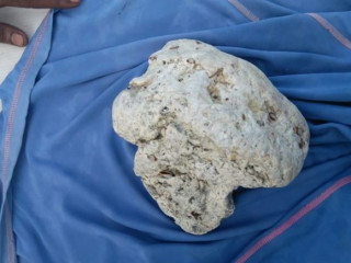 ދުވާފަރު ދޯނިން ހޮވާފައިވާ މާވަހަރު