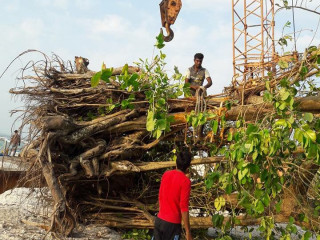 ރާއްޖޭގެ ރަށަކުން ކަނޑާފައިވާ ގިނަ އަދަދެއްގެ ގަސްތަކެއް