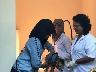 ބުދަ ދުވަސް ފިޔަވައި ރަސްމީ ހުރިހާ ދުވަހެއްގައި ވެޓެރިނަރީ ސެންޓަރު ހުޅުވަން ހަމަޖައްސައިފި