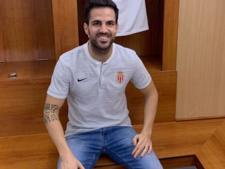 ސެސް ފެބްރިގާސް