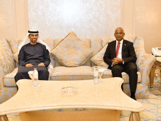 ރައީސް ސާލިހު ޔޫއޭއީގެ އެނަރޖީ މިނިސްޓަރ އާއި ދެބޭފުޅުން