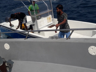 ގެއްލުނު މިލަދޫ މީހާ ޑިންގީގައި (ކަޅު ޓީޝާޓެއް ލައިގެން)