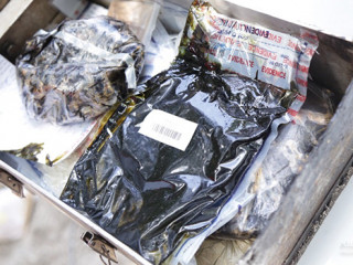 ފުލުހުން ނައްތާލުމަށް ގެންގޮސްފައި ހުރި ބައެއް މަސްތުވާތަކެތި