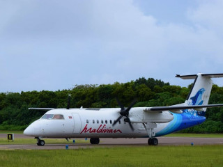 މޯލްޑިވިއަން ފްލައިޓް ޑޮމެސްޓިކް ޓާރމިނަލްއެއްގައި ޖައްސަނީ