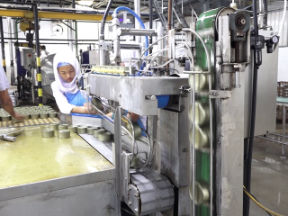 ފެލިވަރުގައި ހުންނަ މިފްކޯގެ ފެކްޓްރީ