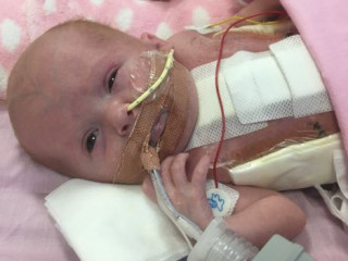 ތިން އޮޕަރޭޝަނަށް ފަހު ވެނެލޮޕްގެ ހިތް އޭނާގެ ގައިގެ ހަންގަނޑާ ލާ ބަންދު ކުރެވިފައި