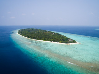 ސޮނެވާފުށި