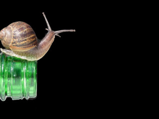 ބިޔަރު ފުޅިއެއްގައި އޮތް ފިނިހަކައެއްގެ ސަބަބުން ޤާއިމުވި ފަރުދީ ޒިންމާ!