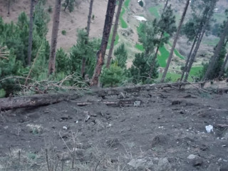 ބޮން އެޅި ސަރަހައްދު