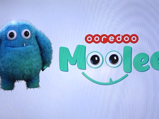 އުރީދޫ އިން އަލަށް ތަޢާރަފްކުރި މޫލީ