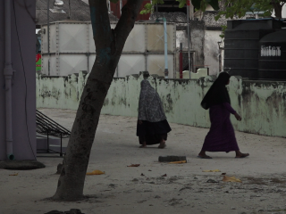 މި ރައްޔިތުންނަށް އެހެން ގޮތެއް ނެތީތަ؟