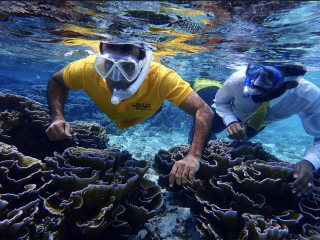 ޓައީ އަޅައިގެން މޫދަށް ފުންމާލި ކައުންސިލަރުގެ ރައްދު: ފުންމާލީ ރައީސް ނަޝީދާ އެކު ބައިވެރިވާން!