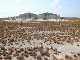 ބީލަން ހުޅުވުން އޮންނާނީ 4 އޭޕްރީލް 2019 ވާ ބުރާސްފަތި ދުވަހުގެ 11:00 ގައި