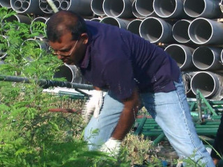 މާލޭ ސަރަހައްދު ސާފުކުރުމުގެ ޕްރޮގްރާމްގައި ރައީސް ނަޝީދު ބައިވެރިވެވަޑައިގެންފި