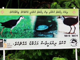 ދިރުންތައް ހިމާޔަތްކުރުމުގެ ގޮތުން ހޭލުންތެރިކަން އިތުރު ކުރުމަށްޓަކައި ހަރުކުރެވިފައިވާ ބިލްބޯޑެއް