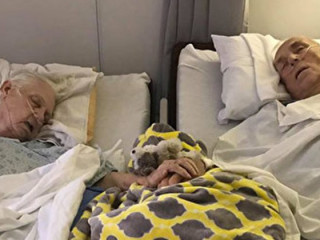 މި ދެމަފިރިން ފަހު ނޭވާ ދޫކުރީ އަތާއި އަތް ގުޅުވައިގެން ތިބެ ލޯތްބާ އެކު