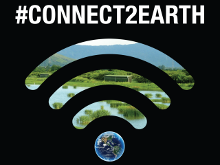 މި އަހަރުގެ އާރތް އަވާގެ ތީމް