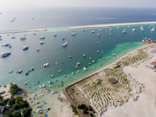 One safari vessel halted operations over the past week