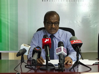 1303 cases of dengue reported this year