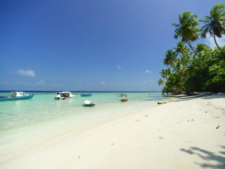 Rinbudhoo island of Dhaalu atoll
