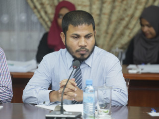 ސީއެސްސީގެ ނާއިބު ރައީސް ޝަހީދު މުހައްމަދު، މަޖިލީހުގެ ކޮމެޓީގައި