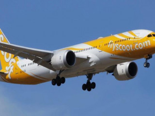 ސްކޫޓް: ސިންގަޕޯގެ ބަޖެޓް އެއަރލައިން