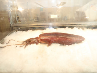 ތުތިބޯވަދިލަމަސް (ޑައިމެންޑް ބެކް ސްކުއިޑް) - ޝުއައިބް މުހައްމަދު އިގްބާލް