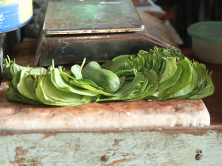 ބިލެތުގެ ސިއްހީ ބައެއް ފައިދާ!