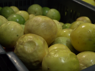 ބާޒާރުގައި ފެޝަން ފުރުޓްގެ އަގު ބޮޑު