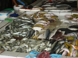 މި ރޯދަމަހު މާރުކޭޓްގައި މަހުގެ އަގު އެއްވަރެއްގައި ހިފެހެއްޓިފައި