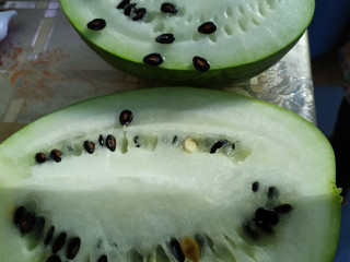 ަަައއ. ތޮއްޑޫގައި އަލަށް ހެއްދި ހުދު ކަރައެއް ފަޅާފައި