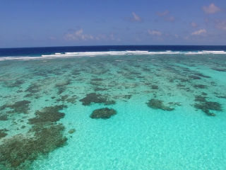 ރާއްޖޭގެ ރަށެއްގެ ފަޅުމަތި