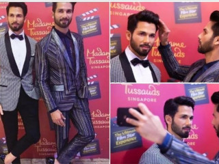 ޝާހިދުގެ ވެކްސް ސްޓެޗޫ ދައްކާލުމުން އަސްލުމީހާ އޮޅިއްޖެ