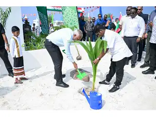 "5 މިލިއަން ގަސް އިންދުމުގެ ޕްރޮގްރާމް"ގެ ދަށުން، ރައީސް މުއިއްޒު ގެ ދެކަނބަލުން ރ. ދުވާފަރުގައި ރުއް އިންދަވައިދެއްވައިފި